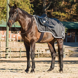 Horze Protrek Nierendecke für Pferde mit Fleece-Fütterung Schwarz 125 cm – Bild 1 von 1