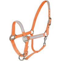 Produktbild von Horze Reflektoren-Halfter aus Nylon in Orange für Vollblut