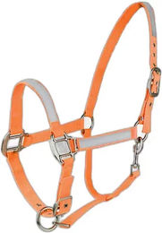 Produktbild von Horze Shetty Halfter in Orange