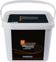 Produktbild von Höveler Equinova Vitalysan Mineralfutter Pulver für Pferde