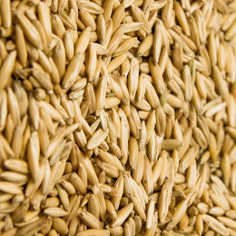 Produktbild von Höveler Original Skandi Hafer Einzelfuttermittel