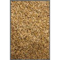Produktbild von Höveler Skandi Hafer Einzelfuttermittel 25 kg