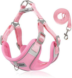 HS.SUPPLY Hundegeschirr mit Leine Rosa Reflektierend und Atmungsaktiv für Hunde und Katzen – Bild 1 von 3