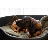 Produktbild von Hubertus Hunting Hundedecke aus Plüsch 70 x 100 cm - 1 Stk.