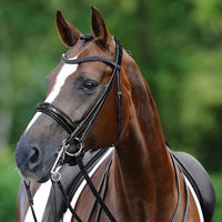 Produktbild von Hubertus Schmidt Kandare Passier Black Luxury Edition anatomisch aus Leder für Warmblut in Schwarz
