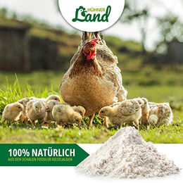 HÜHNER Land Kieselgur Pulver für Hühner und Wachteln 1kg - 1 kg – Bild 1 von 8
