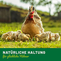Produktbild von HÜHNER Land Magenruh Pulver für Hühner und Wachteln 500g zur Unterstützung der Magen-Darm-Gesundheit - 500 g