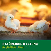 Produktbild von HÜHNER Land Mauserhilfe Gefieder-Supplement für Hühner und Wachteln 500g - 500 g