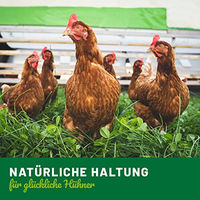 Produktbild von HÜHNER Land Milben Spray für Hühner 500ml zur Bekämpfung von Milben und Parasiten - 500 ml