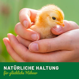 HÜHNER Land Parasiten Frei Spot On für Hühner und Wachteln 50ml mit Neemöl und Zitroneneukalyptus zur Milbenabwehr - 50 ml – Bild 1 von 4