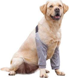 Hund Ellenbogenbandage Recovery Sleeve Vorderbeine Grau XXL – Bild 1 von 4