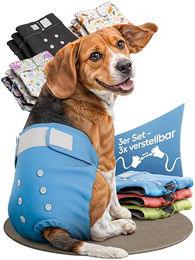 HUND IST KÖNIG Hundewindeln für Hündinnen Blau S, wasserdichte Läufigkeitshosen aus Polyester, 3 Stück – Bild 1 von 8