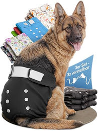 HUND IST KÖNIG Hundewindeln für Hündinnen, saugstarke Läufigkeitshosen, Schwarz, Größe L, 3 Stück – Bild 1 von 8