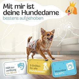 HUND IST KÖNIG Hundewindeln für Hündinnen, saugstarke Mikrofaser-Läufigkeitshose, XS, Beige, 3 Stück – Bild 1 von 8