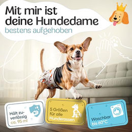 HUND IST KÖNIG Hundewindeln für Hündinnen, saugstarke und wasserdichte Läufigkeitshosen, 3 Stück, Beige, Größe S – Bild 1 von 8