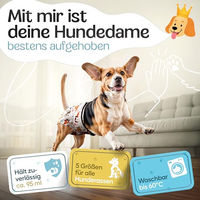 Produktbild von HUND IST KÖNIG Hundewindeln für Hündinnen, saugstarke und wasserdichte Läufigkeitshosen, 3 Stück, Beige, Größe S