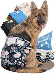 HUND IST KÖNIG Hundewindeln für Hündinnen, saugstarke und wasserdichte Läufigkeitshosen aus Polyester, Größe L, 3 Stück – Bild 1 von 8