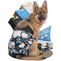 Produktbild von HUND IST KÖNIG Hundewindeln für Hündinnen, saugstarke und wasserdichte Läufigkeitshosen aus Polyester, Größe L, 3 Stück