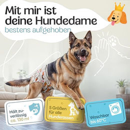 HUND IST KÖNIG Hundewindeln für Hündinnen, saugstarke und wasserdichte Läufigkeitshosen, Beige, Größe L, 3 Stück – Bild 1 von 7