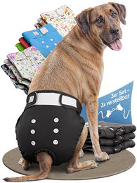 HUND IST KÖNIG Hundewindeln für Hündinnen Schwarz XL saugstark und 3-fach justierbar 3 Stück – Bild 1 von 8