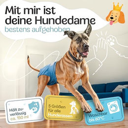 HUND IST KÖNIG Hundewindeln für Hündinnen XL Blau, hochabsorbierende Läufigkeitshosen mit 3-Fach Justierung, 3 Stück – Bild 1 von 8