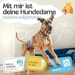 HUND IST KÖNIG Hundewindeln für Hündinnen XL weiß/bunt saugstark und wasserdicht 3 Stück – Bild 1 von 8