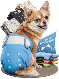 HUND IST KÖNIG Hundewindeln für Hündinnen XS blau, hochabsorbierende und wasserdichte Läufigkeitshosen aus Polyester, 3 Stück – Bild 1 von 8