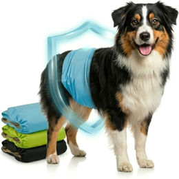 HUND IST KÖNIG Hundewindeln für Rüden XL wasserdicht 3 Stück – Bild 1 von 6