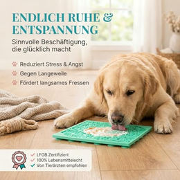 HUND IST KÖNIG Schleckmatte für Hunde aus Silikon mit Saugnäpfen, 22x22 cm, Grün und Gelb, LFGB zertifiziert - 2 x 22 cm – Bild 1 von 12