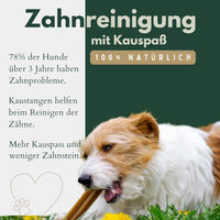 Produktbild von Hunde Helden Getrocknete Rinderkopfhaut Monoprotein Naturkaukauartikel für Hunde 5 kg