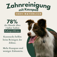 Produktbild von Hunde Helden Rinderpansen getrockneter Naturkauartikel für Hunde 500 Gramm Monoprotein