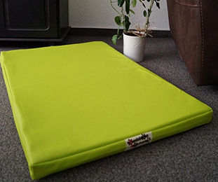 Produktbild von Hundebettenmanufaktur Hundematratze aus Kunstleder in Grün 60 cm x 40 cm
