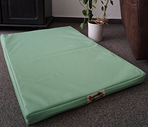 Hundebettenmanufaktur Orthopädische Hundematratze mit antiallergischer Kokosmatte aus Kunstleder Mintgrün 60 cm x 40 cm – Bild 1 von 2