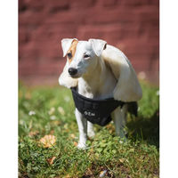 Produktbild von Hundedecke GEM