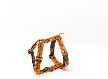 Produktbild von Hundegeschirr Alter Ego Tatoo Orange Größe M aus Polyester
