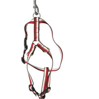 Produktbild von Hundegeschirr ARKA Haok aus Nylon in Rot 65-100 cm