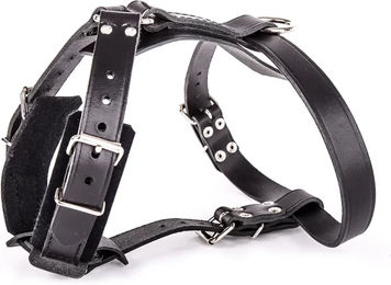 Produktbild von Hundegeschirr aus Filzleder von Martin Sellier in Schwarz 25/70 cm