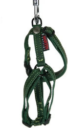 Produktbild von Hundegeschirr aus Rindsleder von Martin Sellier in Natur Grün Größe 16/35-50 cm