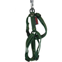 Produktbild von Hundegeschirr aus Rindsleder von Martin Sellier in Natur Grün Größe 32-35 cm