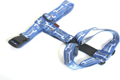 Produktbild von Hundegeschirr Martin Sellier Clepsy aus Nylon in Blau und Türkis Größe L