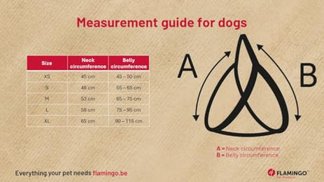 Hundegeschirr Step&GO Tasha Schwarz Nylon Größe XL 90-115cm – Bild 1 von 4