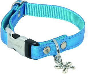 Produktbild von Hundehalsband Alter Ego Disco Türkis Größe S