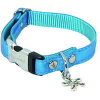 Produktbild von Hundehalsband Alter Ego Disco Türkis Größe S