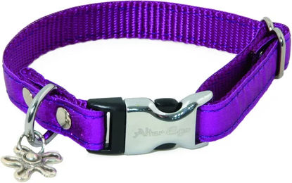 Produktbild von Hundehalsband Alter Ego Lila Nylon Größe S