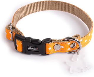 Produktbild von Hundehalsband Alter Ego mit Punkten in Orange Größe S