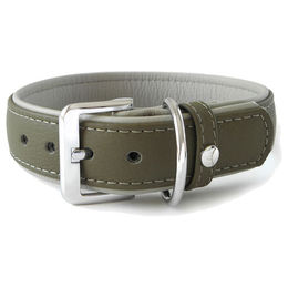 Produktbild von Hundehalsband Amsterdam aus Leder Grau Grün 30 cm Breite 12 mm