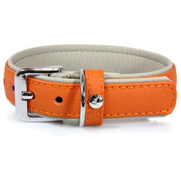 Produktbild von Hundehalsband Amsterdam aus Leder in Orange/Grau 35 cm x 12 mm