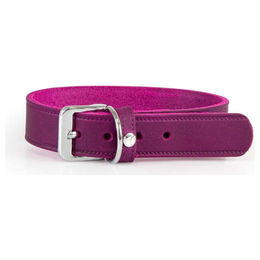 Hundehalsband aus Leder in Lila, Länge 62 cm – Bild 1 von 1