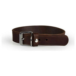 Produktbild von Hundehalsband aus Leder in Mocca Braun 32 cm