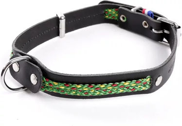 Produktbild von Hundehalsband aus Leder Martin Sellier Colorado in Grün oder Schwarz 18/45 cm